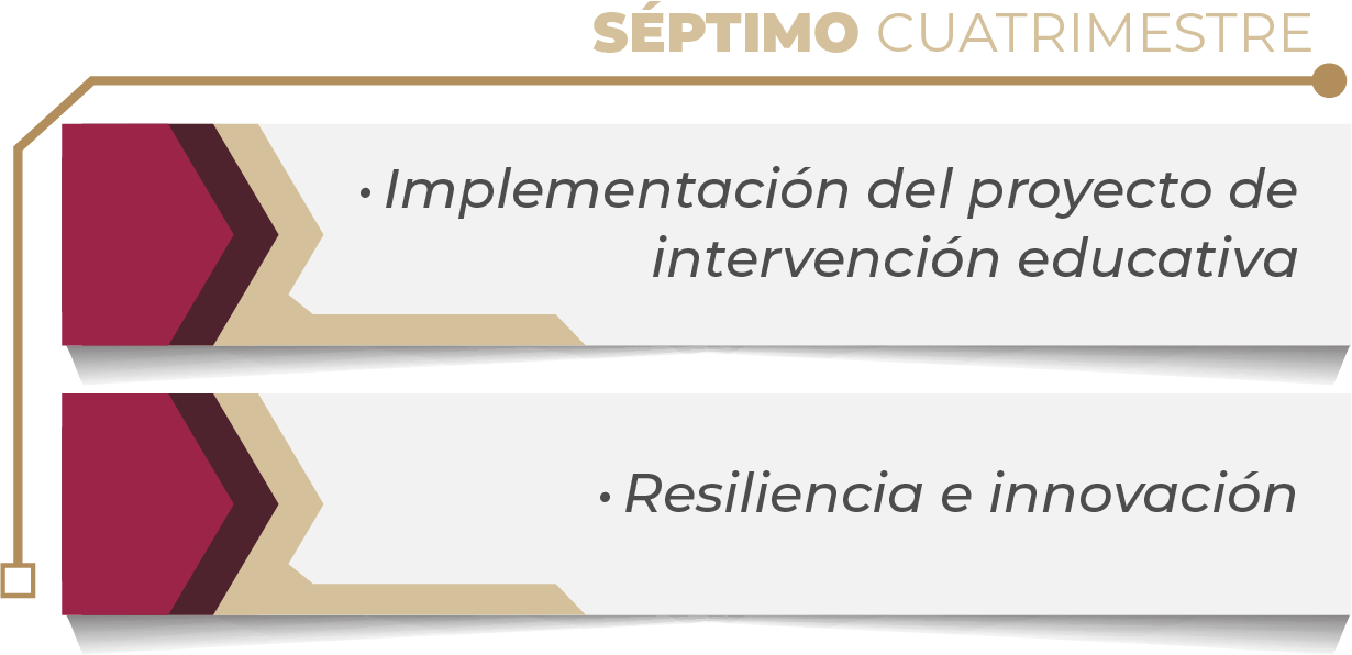 MAPA CURRICULAR GESTIÓN